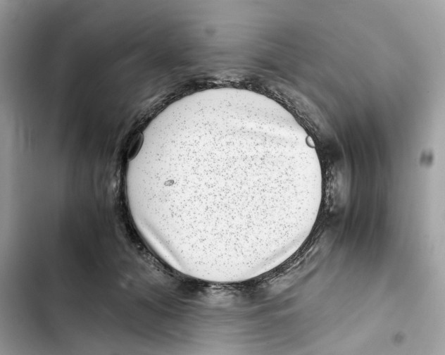X0000101990608200808151425