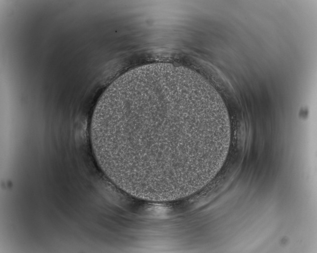X0000101990610200808151425