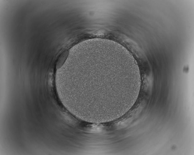 X0000101990612200808151425