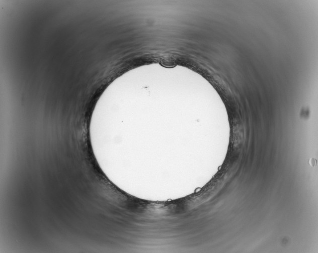 X0000101990613200808151425