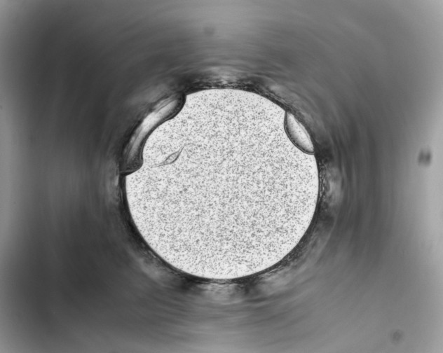 X0000101990615200808151425