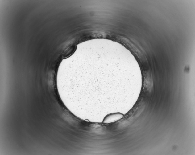 X0000101990616200808151425