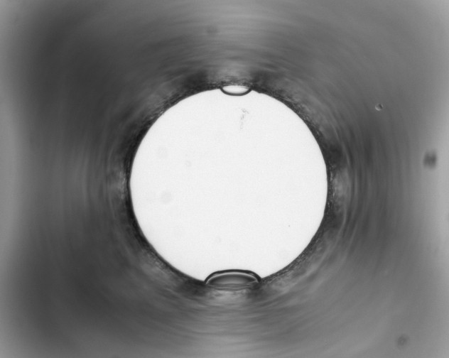 X0000101990617200808151425