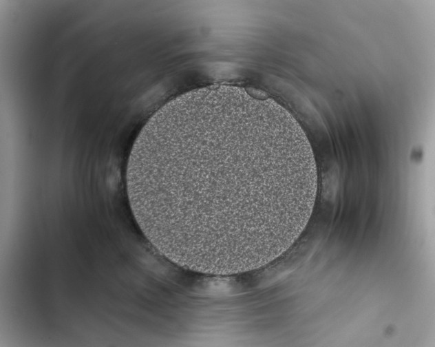 X0000101990618200808151425