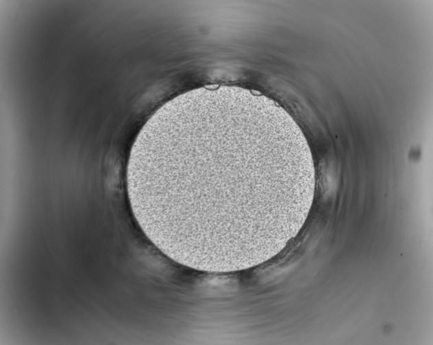 X0000101990619200808151425