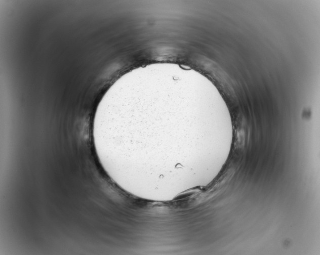 X0000101990620200808151425