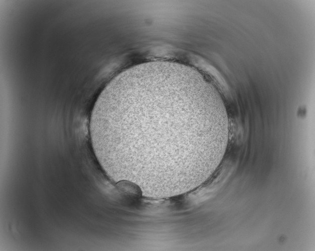 X0000101990621200808151425