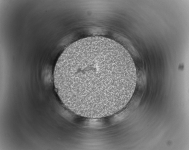 X0000101990622200808151425