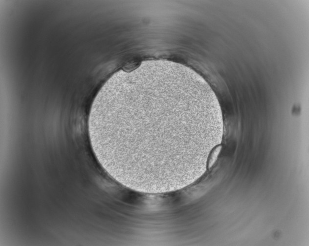 X0000101990623200808151425