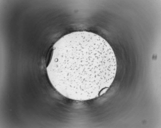 X0000101990624200808151425