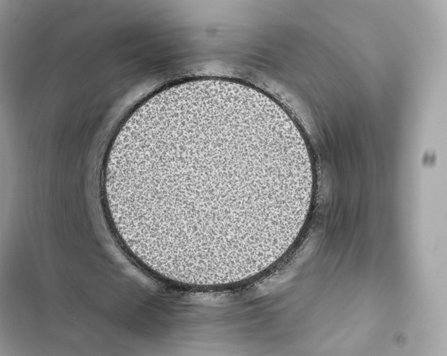 X0000101990625200808151424