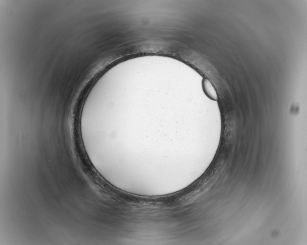 X0000101990626200808151424