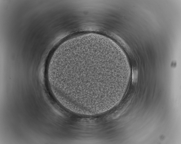 X0000101990627200808151424