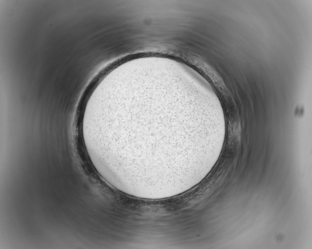 X0000101990628200808151424