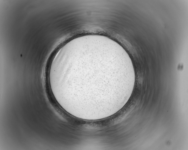 X0000101990630200808151424