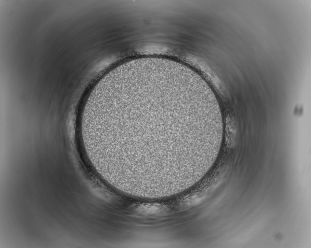 X0000101990631200808151425