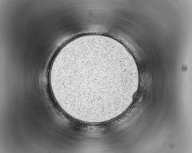 X0000101990632200808151425