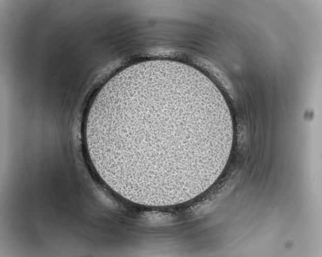 X0000101990633200808151425