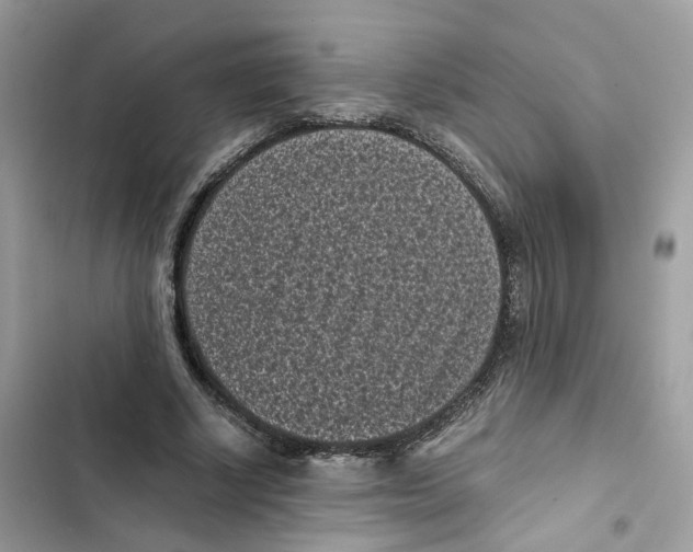 X0000101990634200808151425