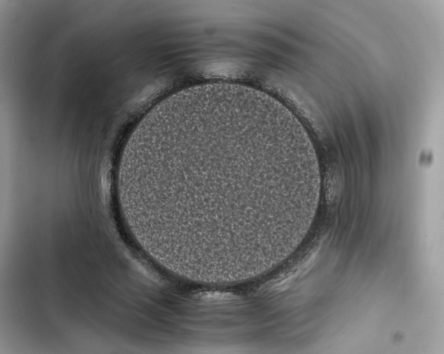 X0000101990637200808151425