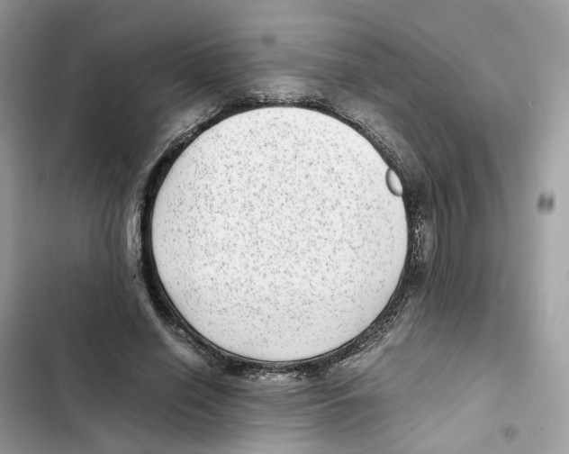 X0000101990638200808151425