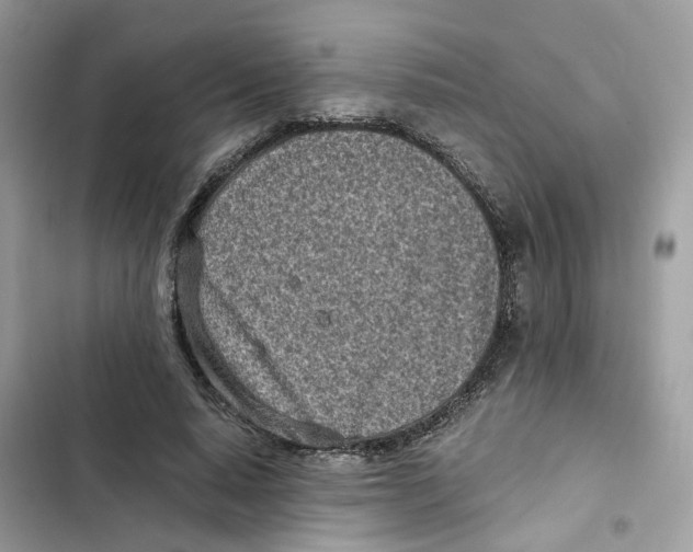 X0000101990640200808151425
