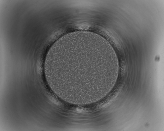 X0000101990641200808151425