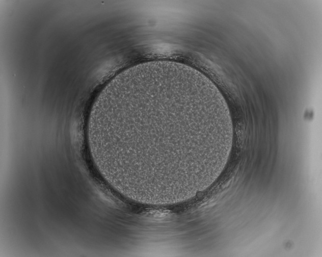 X0000101990642200808151425