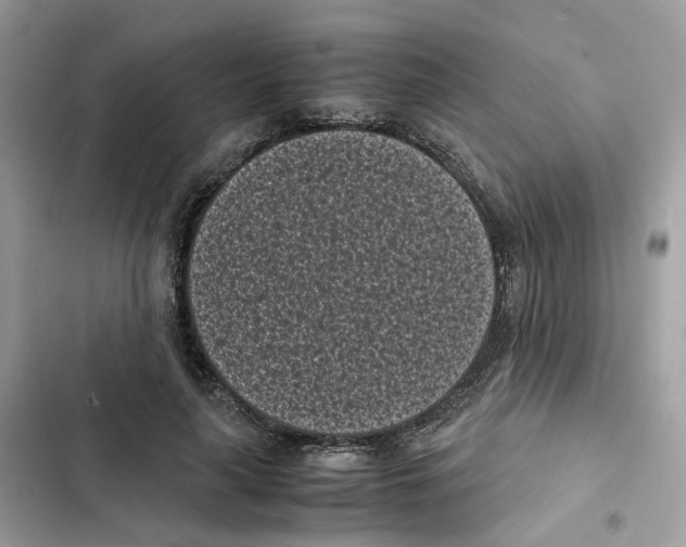 X0000101990643200808151425