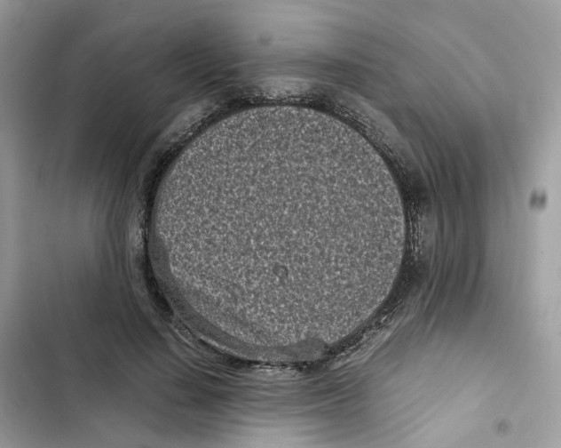X0000101990644200808151425