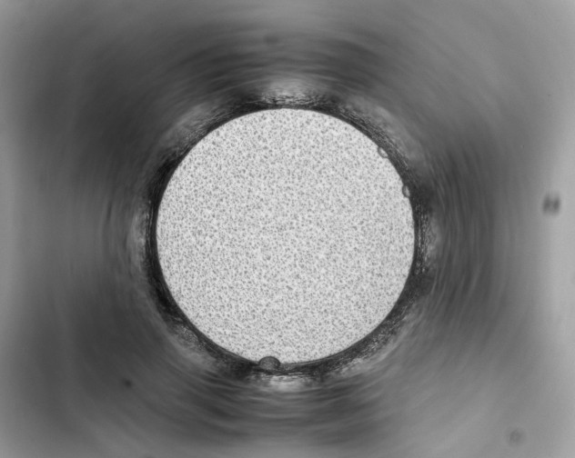 X0000101990645200808151425
