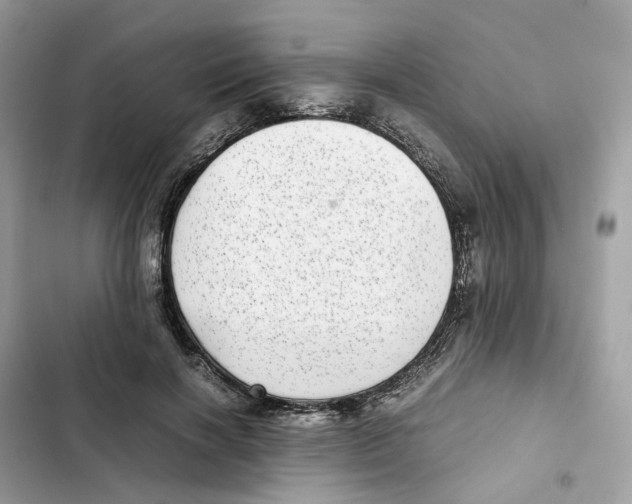 X0000101990646200808151425
