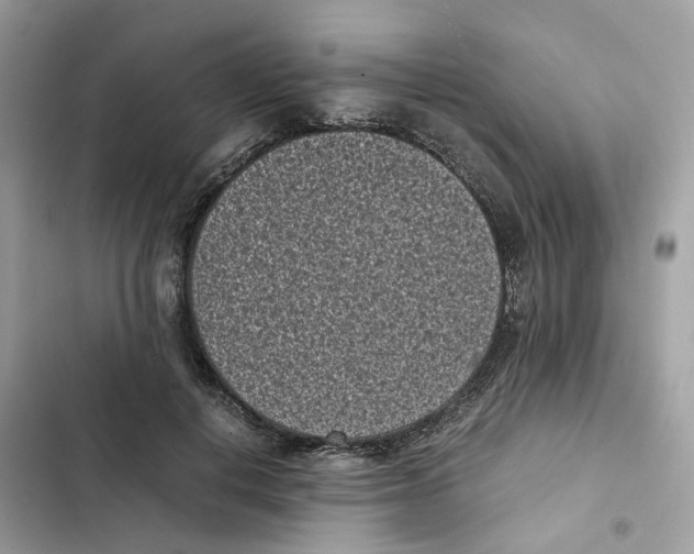 X0000101990648200808151425
