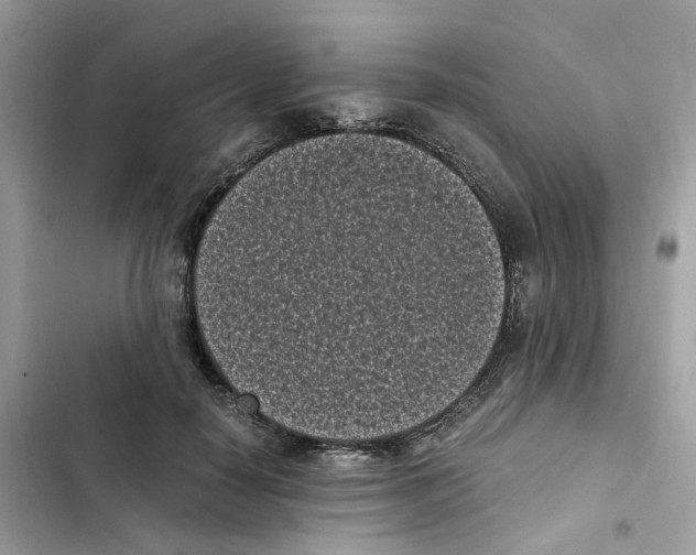X0000101990650200808151425