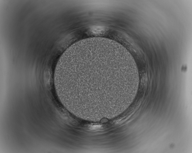 X0000101990651200808151425