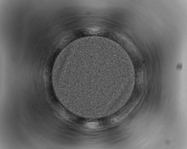 X0000101990653200808151425