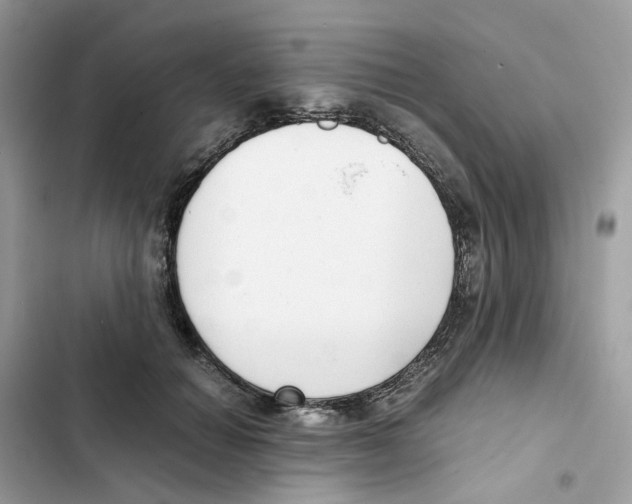 X0000101990654200808151425