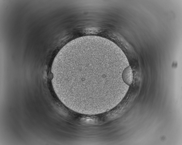 X0000101990655200808151425