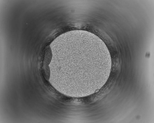 X0000101990656200808151425