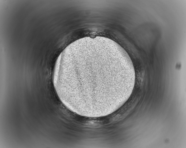 X0000101990657200808151425