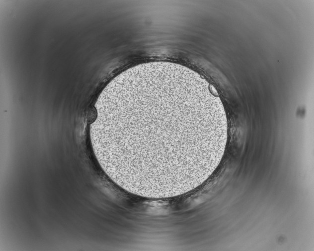 X0000101990660200808151425