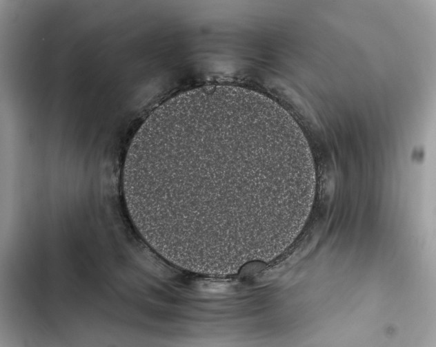 X0000101990661200808151425