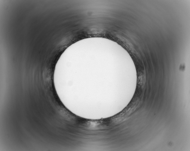 X0000101990662200808151425