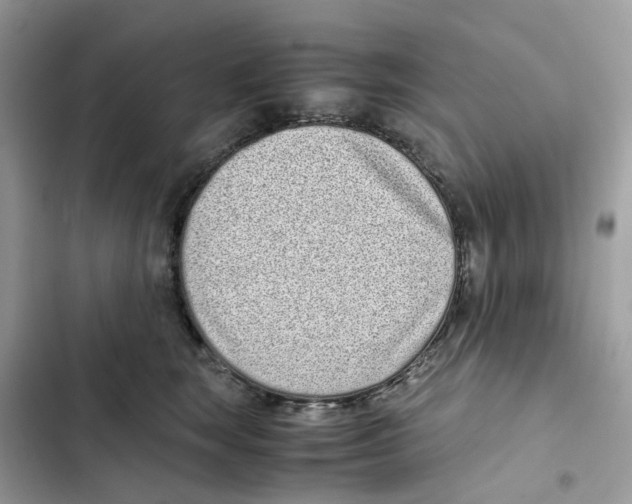 X0000101990663200808151425