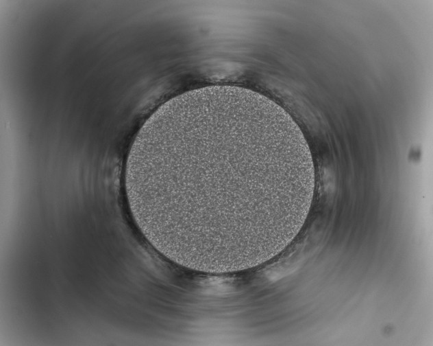 X0000101990664200808151425