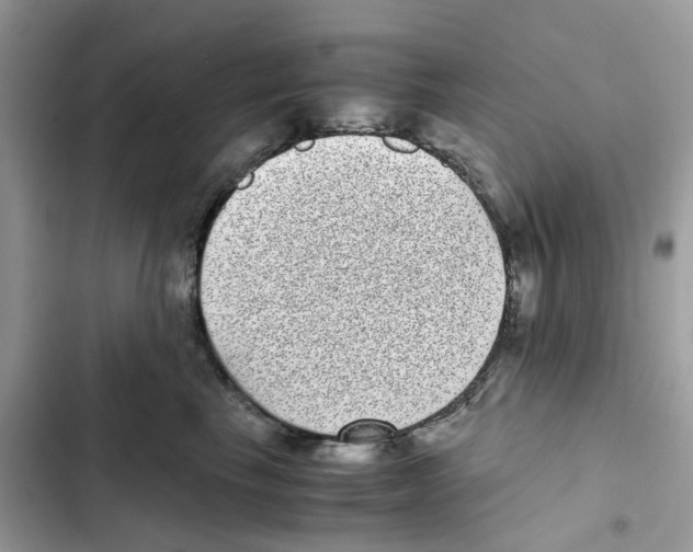 X0000101990665200808151425