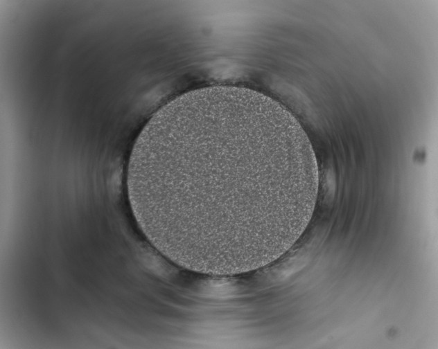 X0000101990668200808151425