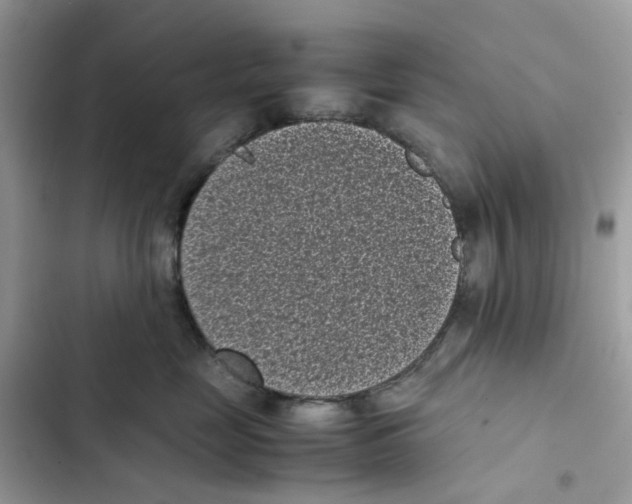 X0000101990669200808151425