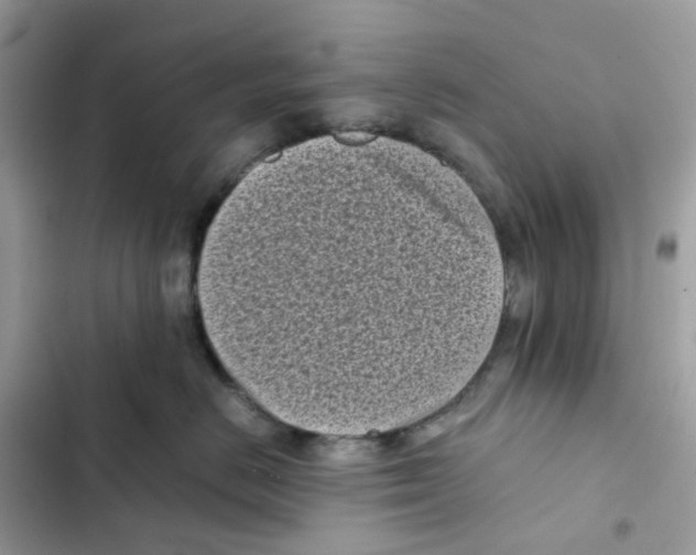 X0000101990670200808151425