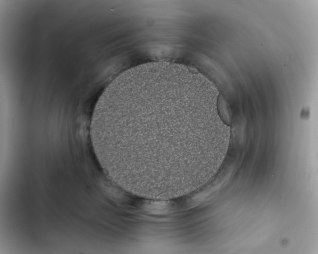 X0000101990671200808151425